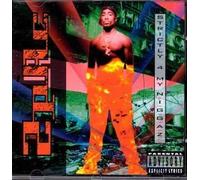 Strictly 4 My N.I.G.G.A.Z. by 2Pac (0100-01-01)