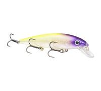 Strike King Lures, KVD Jerkbaits, 4 3/4" Length, 1/2 oz, 4 Hook Size, Pro Purple Headed Hammer, Package of 1 (HCKVDJ300-293)