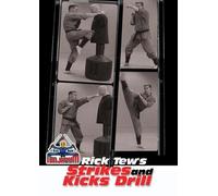Strikes and Kicks Drill for the Martial Arts