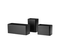 String 3 String Organizers Negro