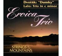 Strings in The Mountains
