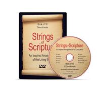 Strings of Scripture: An Inspired Arrangement of the Living Word [USA] [DVD]