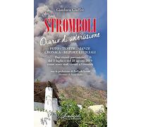Stromboli. Diario di un'eruzione. Foto - Testimonianze - Cronaca - Report ufficiali
