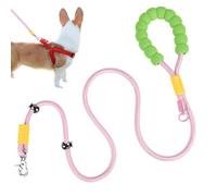 Strong Dog Walking Chain, Padded Handle Dog Lead, Large Dog Walking Lead, Outdoor Dog Lead, Medium Dog Leash, Sturddy Dog Lead for Walks, Padded Dog Rope Leash for Dog