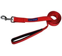 Strong Durable Dog Leash Lead - Red 4' Foot (L) x 3/4 Inch (W) , by Downtown Pet Supply by Downtown Pet Supply