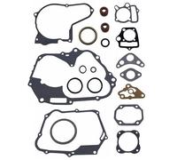 Strongthium Kit de juntas de culata, estator, embrague, admisión y sello para motores de 125 cc, para vehículos todo terreno, mini jeeps, motos de cross, karts, SSR, Apollo, Boom, Vader, X-Pro, Lifan