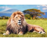 STROXTH WALLPAPER Papel Pintado Paisaje De Pradera Verde 300cmx256cm Animal León 3D Fotográfico Sala Estar Dormitorio Decoración Pared