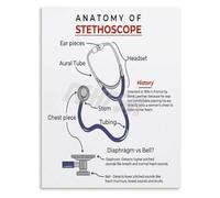 Structure Of A Stethoscope Labeled Diagram Poster Canvas Print HD Wall Art For Doctor Clinic Classroom Decor