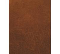 Structured Notebook: Notebook: Structured Notebook with 120 pages | 8.5x11 inches | 21.6 cm x 27.9 cm | Journal for task management, daily project ... dietary logs, and cognitive reflections