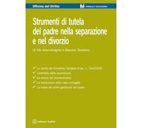 Strumenti di tutela del padre nella separazione e nel divorzio (Officina. Famiglia e successioni)
