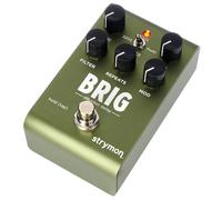 Strymon Brig Delay