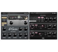 Strymon Echo Plugin Bundle