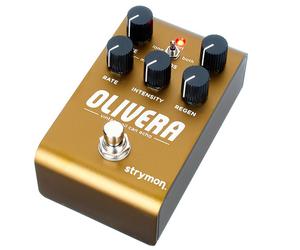 Strymon Olivera Delay
