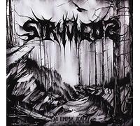 Stryvigor - Into The Abyss Of Cold