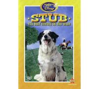 Stub, The Best Cow Dog in the West