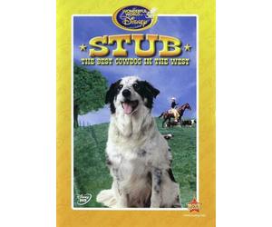 Stub, The Best Cow Dog in the West