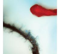 Stubborn Heart - Stubborn Heart [Vinilo]