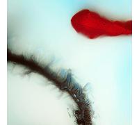 Stubborn Heart [Vinilo]