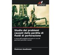 Studio dei problemi causati dalla perdita di fluidi di perforazione: a causa dell'instabilità del pozzo in uno dei giacimenti petroliferi iraniani