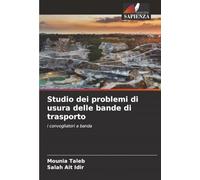 Studio dei problemi di usura delle bande di trasporto: i convogliatori a banda