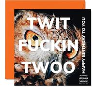 Stuff4 Divertidas tarjetas de cumpleaños para hombres y mujeres - Twit Twoo Owl - Tarjeta de feliz cumpleaños para mamá, papá, hermano, hermana, hijo, hija, abuela, abuelo, 145 mm