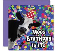 Stuff4 Divertidas tarjetas de cumpleaños para mujeres y hombres, Moo, tarjeta de feliz cumpleaños para mamá, papá, hermano, hermana, hijo, hija, abuela, abuelo, amigo, 145 mm x 145 mm, tarjetas de