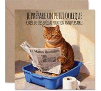 Stuff4 Drôle Carte d'Anniversaire - Humour Décalé pour Anniversaire - Chat Lisant le Journal dans Sa Litière - Illustration Colorée Pleine d'Esprit - 145 mm Carré, Enveloppe Incluse