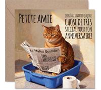 Stuff4 Drôle Carte d'Anniversaire pour Petite Amie - Clin d'Œil Espiègle - Chat dans Sa Litière avec Journal, Humour Pétillant - 145 mm Carré, Enveloppe Incluse