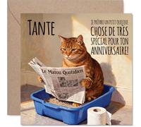Stuff4 Drôle Carte d'Anniversaire pour Tante - Clin d'Œil Espiègle pour l'Anniversaire - Chat Facétieux Lisant Son Journal dans la Litière - 145 mm Carré, Enveloppe Incluse