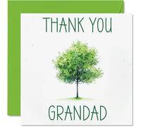 Stuff4 Tarjetas de agradecimiento para abuelo, árbol verde colorido, tarjetas de agradecimiento para él, tarjeta de agradecimiento sincera, 145 mm x 145 mm, tarjetas de felicitación para regalos