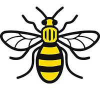 Stukk Stickers Adhesivo de Vinilo con diseño de Abeja del Manchester en Color para Coche, Furgoneta o Dormitorio, Mancunian #WeStandTogether