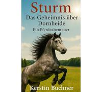 Sturm - Das Geheimnis über Dornheide: Ein Pferdeabenteuer