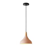 STVDEDG Lámpara Colgante De Un Solo Cabezal Con Fuente E27 Aparato De Lámpara Pequeño Moderno Y Ajustable Lámpara Colgante De Metal Colorida Y Única Araña De Araña Creativa Semicircular Personalizada