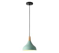 STVDEDG Lámpara Colgante De Un Solo Cabezal Con Fuente E27 Aparato De Lámpara Pequeño Moderno Y Ajustable Lámpara Colgante De Metal Colorida Y Única Araña De Araña Creativa Semicircular Personalizada