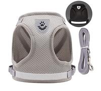 Stylebest Arnés y Correa para Perros, Conjunto Reflectante Ajustable y Transpirable para Perros Pequeños Medianos, Suministros para Caminar de 3,9 Pies (M)