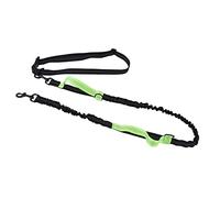 Stylebest Correa para Mascotas, Reflectante, Duradera, Ajustable, Cuerda de Tracción para Perros Que Caminan por la Noche, Hecha de Nailon de (Verde)