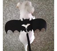 Stylebest Disfraz de Mascota para Perros y Gatos con Elegantes Alas de Murciélago Negras y Arnés con Correa para el Pecho para Celebraciones de Halloween Navidad (S)
