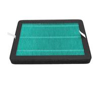Stylebest Filtro Deshumidificador de Repuesto de Alta Eficiencia para Deshumidificador Hysure VIRGO, Sótanos de Fábrica, Oficina en Casa, ABS, 1 Paquete (Verde)