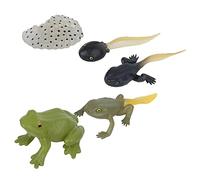Stylebest Juguete Modelo de Ciclo de Crecimiento Ranidae para Juego Educativo, Estatuas de Animales de Simulación Vívida, Aprendizaje de los Niños, Juego de 5 Figuras de Plástico