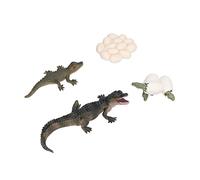 Stylebest Modelo de Ciclo de Crecimiento Animal, Juguete de Ciclo de Vida de Cocodrilo para Aprendizaje y Desarrollo, Juego de PVC de 3 Años +