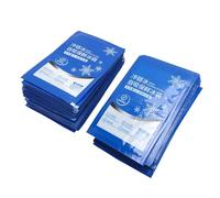Stylebest Paquetes de Hielo Multifuncionales para Transporte de Alimentos, 100 Unidades, Acampar, Hacer Senderismo y Loncheras, Hechos de Película de Nailon Duradera (250ml)