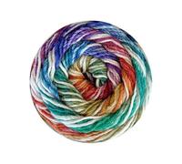 Stylecraft 3376155 Knit Me, Crochet Me Colour Wheel (6155) - Ovillo de lana (100 g)