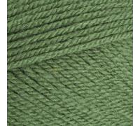 Stylecraft 9041824 Special DK Cypress (1824) - Ovillo de lana (100 g)