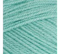 Stylecraft 9041842 Special DK Spearmint (1842) - Ovillo de lana (100 g)