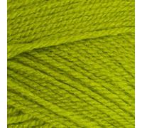 Stylecraft 9041852 Special DK Apple (1852) - Ovillo de lana (100 g)