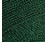 Stylecraft Special DK - Bottle (1009) by Stylecraft