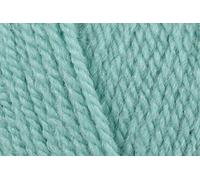 Stylecraft Special DK - Hilo de ganchillo suave, 100 % lana de punto doble para jerséis, juguetes, mantas, fundas de cojín, bolas de 100 g, color menta verde (1842), paquete de 5
