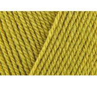 Stylecraft Special DK - Hilo de ganchillo suave, 100 % lana doble para jerséis, juguetes, mantas, fundas de cojín, ovillos de 100 g, color lima (1712), paquete de 5 unidades GET 3 bolas gratis = 8