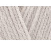 Stylecraft Special DK - Ovillo de ganchillo suave, 100 % lana doble para jerséis, juguetes, mantas, fundas de cojín, ovillos de 100 g, un toque de plata (1807), una sola bola, 2 ovillos