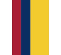 Stylish Colombia Flag Notebook for Writing and Planning: Celebrate Your Colombian Pride with a Unique Flag-Themed Journal